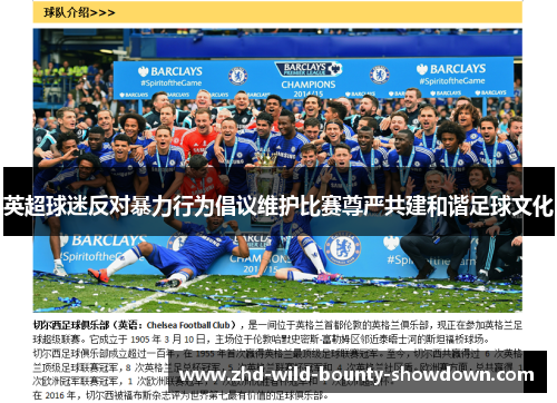 英超球迷反对暴力行为倡议维护比赛尊严共建和谐足球文化