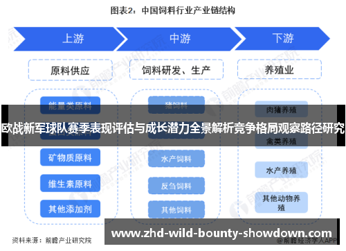 欧战新军球队赛季表现评估与成长潜力全景解析竞争格局观察路径研究 欧战新军球队赛季表现评估与成长潜力全景解析竞争格局观察路径研究