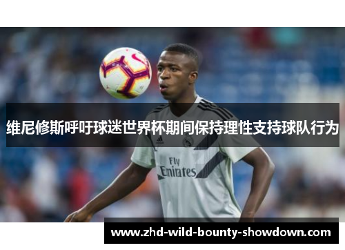 维尼修斯呼吁球迷世界杯期间保持理性支持球队行为
