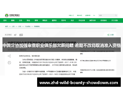 中国足协加强审查职业俱乐部欠薪问题 逾期不改将取消准入资格